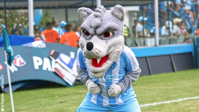 Paysandu está invicto há seis jogos, vindo de 4 vitórias e 2 empates. A última partida venceu o Coritiba fora de casa por 5 a 2